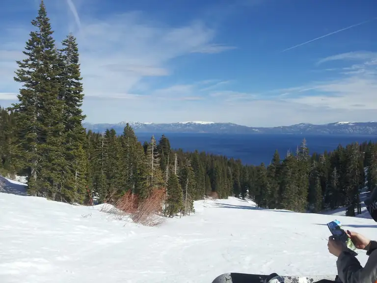Lake Tahoe and snowy forest seen from Homewood