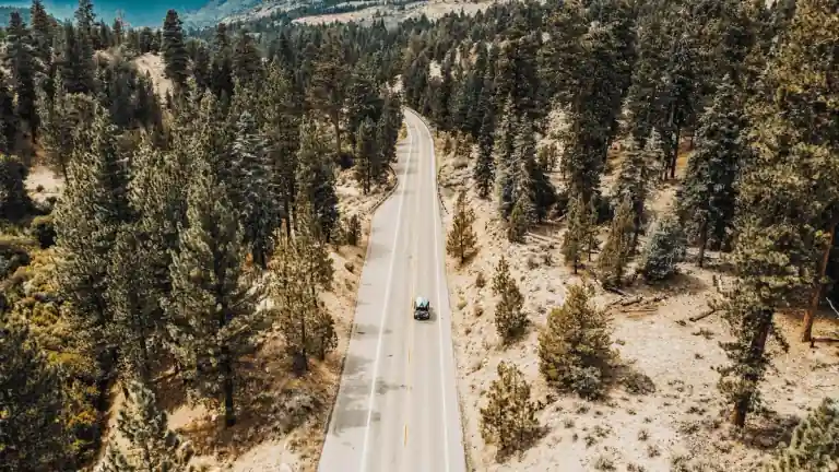 an aerial road through green forest in the Big Bear Lake region