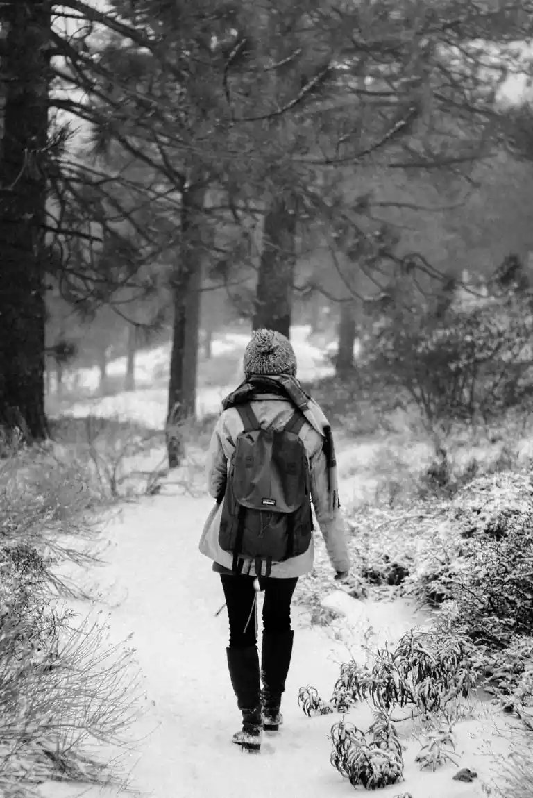 a hiker walking a snowy forest trail in Wrightwood